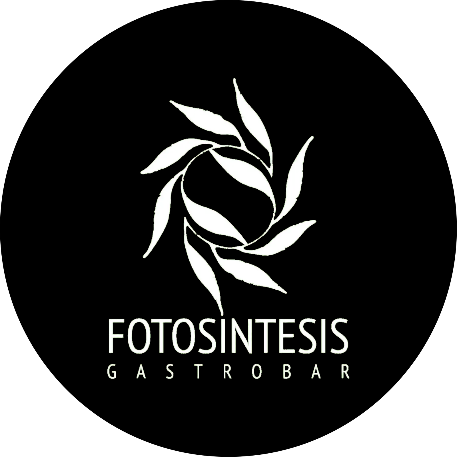 Fotosíntesis